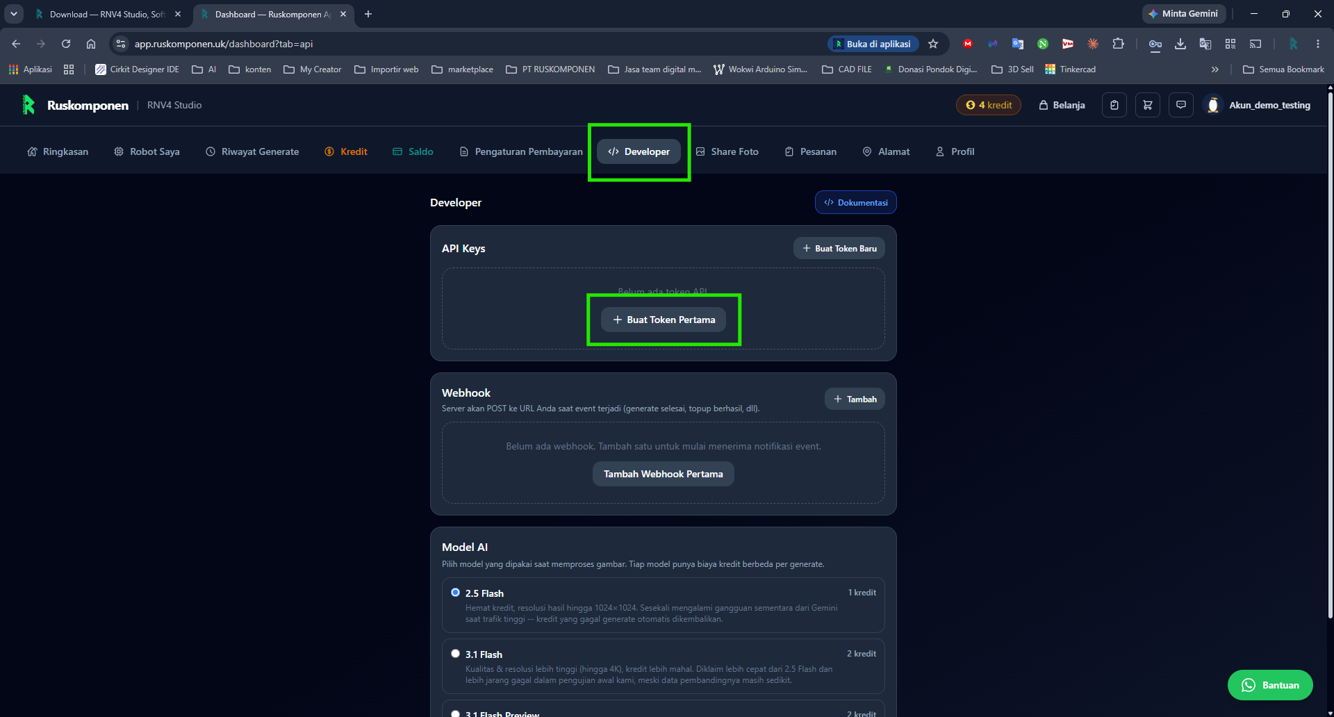 Tab Developer — API Keys — Buat Token Pertama
